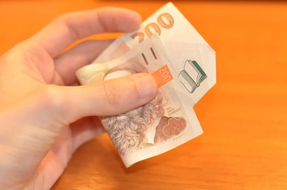 50 Zl To Czk
