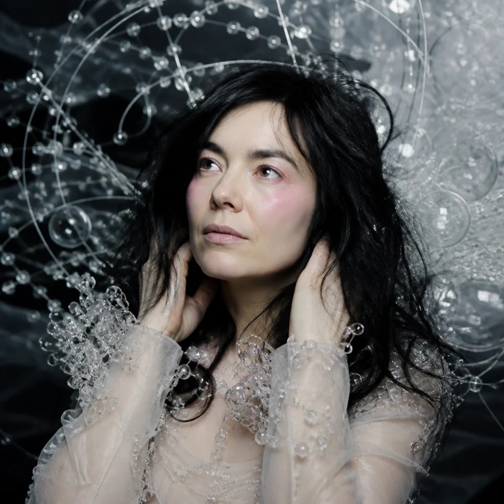 Björk Skladby