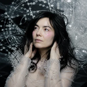 Björk Skladby